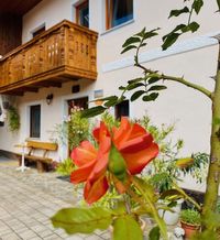 Guesthouse Sabine, pr'Skminc, Bohinjska Bela, bei Bled